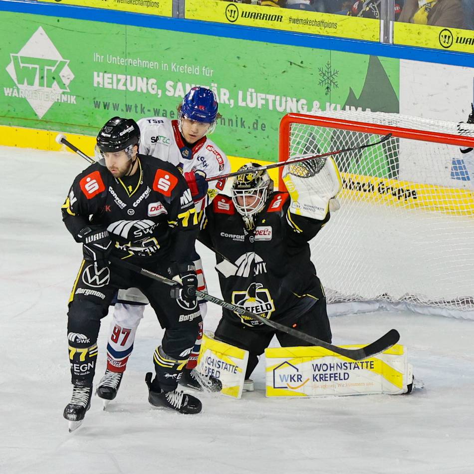Beim Heimsieg gegen Freiburg: Wie die Krefeld Pinguine Trainer Popiesch beeindruckt haben