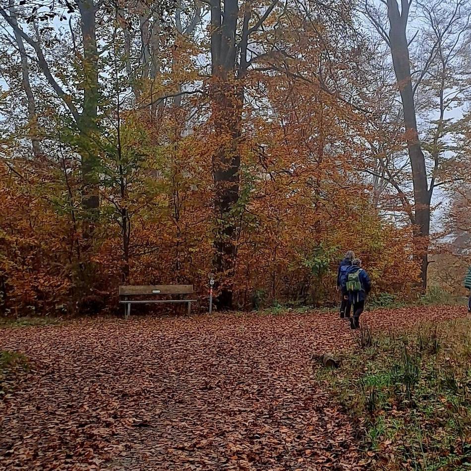 SGV Langenfeld/Monheim: Am 19. November wird auf dem Posthornweg rund um Langenfeld gewandert