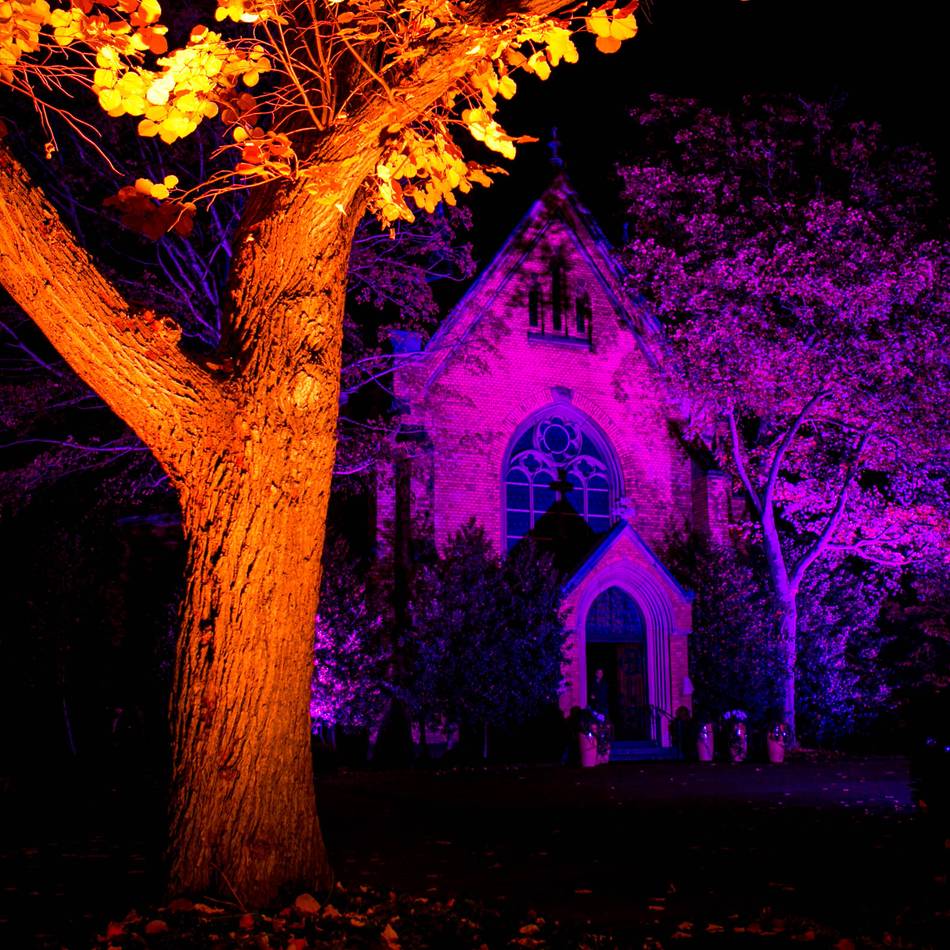 Ausgehtipp am Feiertag: Nordfriedhof wird an Allerheiligen illuminiert