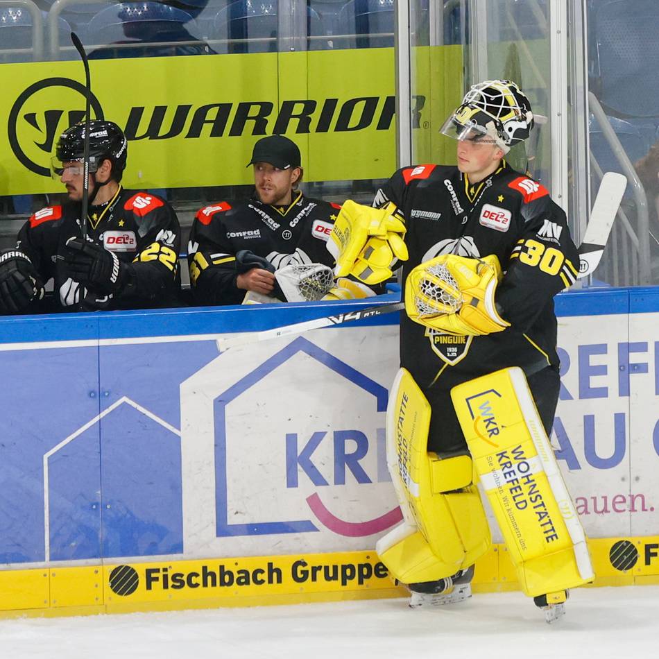 Das Talent überzeugt: Julius Schulte und die Luxus-Situation im Tor der Krefeld Pinguine