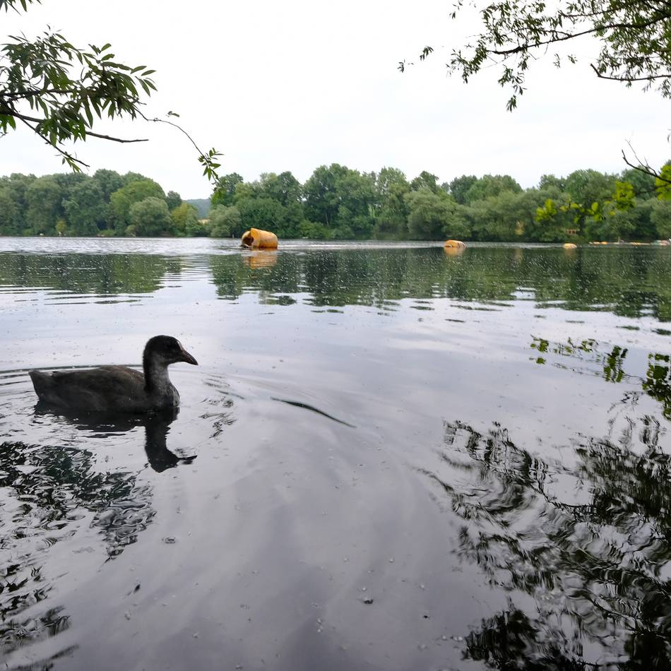 Arbeiten des den Bergisch-Rheinischen Wasserverband: Wie der Abtskücher Teich sein Gesicht verändert