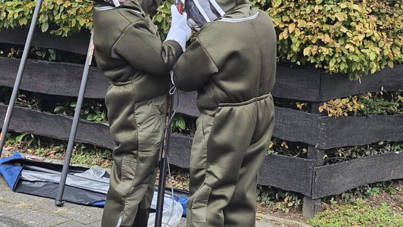 Asiatische Hornisse in Ratingen: Imkerverein schlägt Alarm