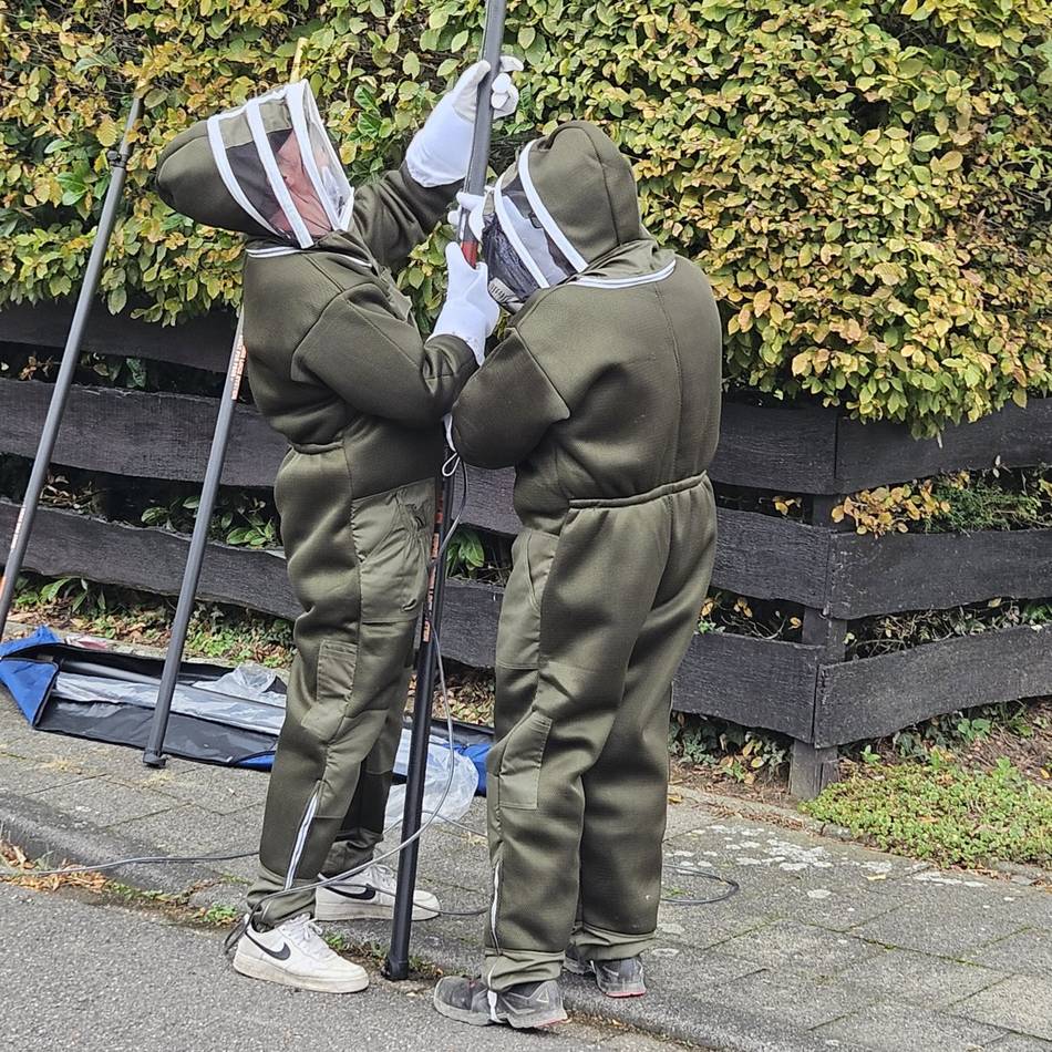Asiatische Hornisse in Ratingen: Imkerverein schlägt Alarm