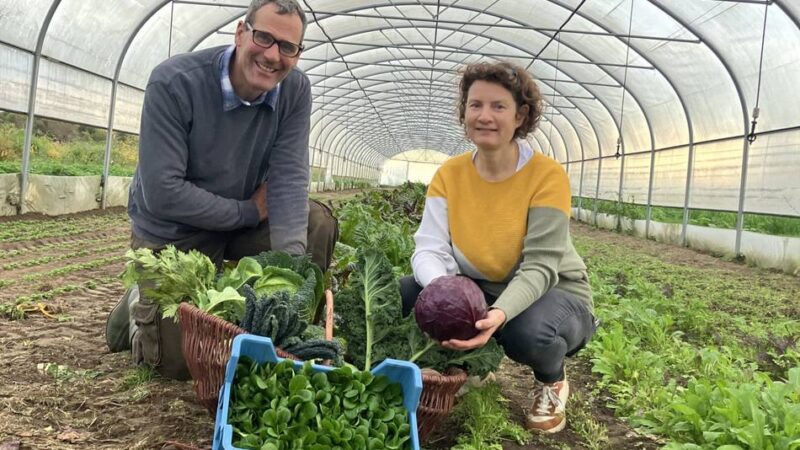 Landwirtschaft und Ernährung in Meerbusch: Welches Gemüse Meerbuscher Landwirte jetzt ernten