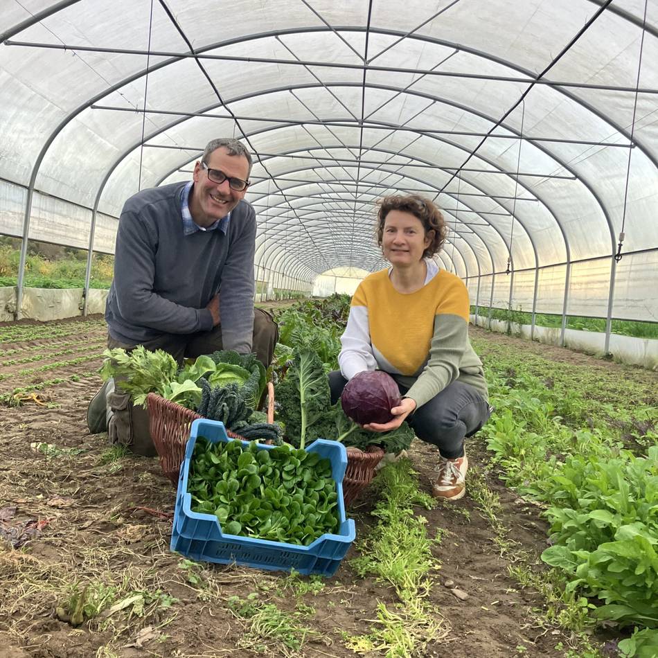 Landwirtschaft und Ernährung in Meerbusch: Welches Gemüse Meerbuscher Landwirte jetzt ernten