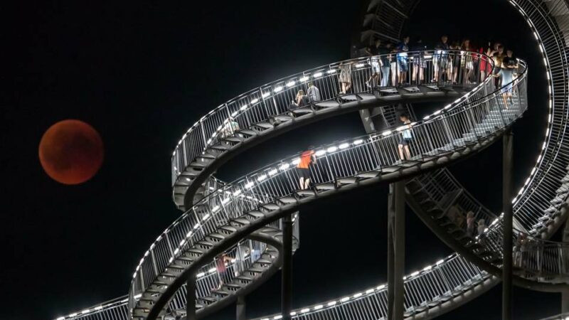 Tipps vom 13. bis 19. Oktober: KI oder Tiger & Turtle – das ist nächste Woche in Duisburg los