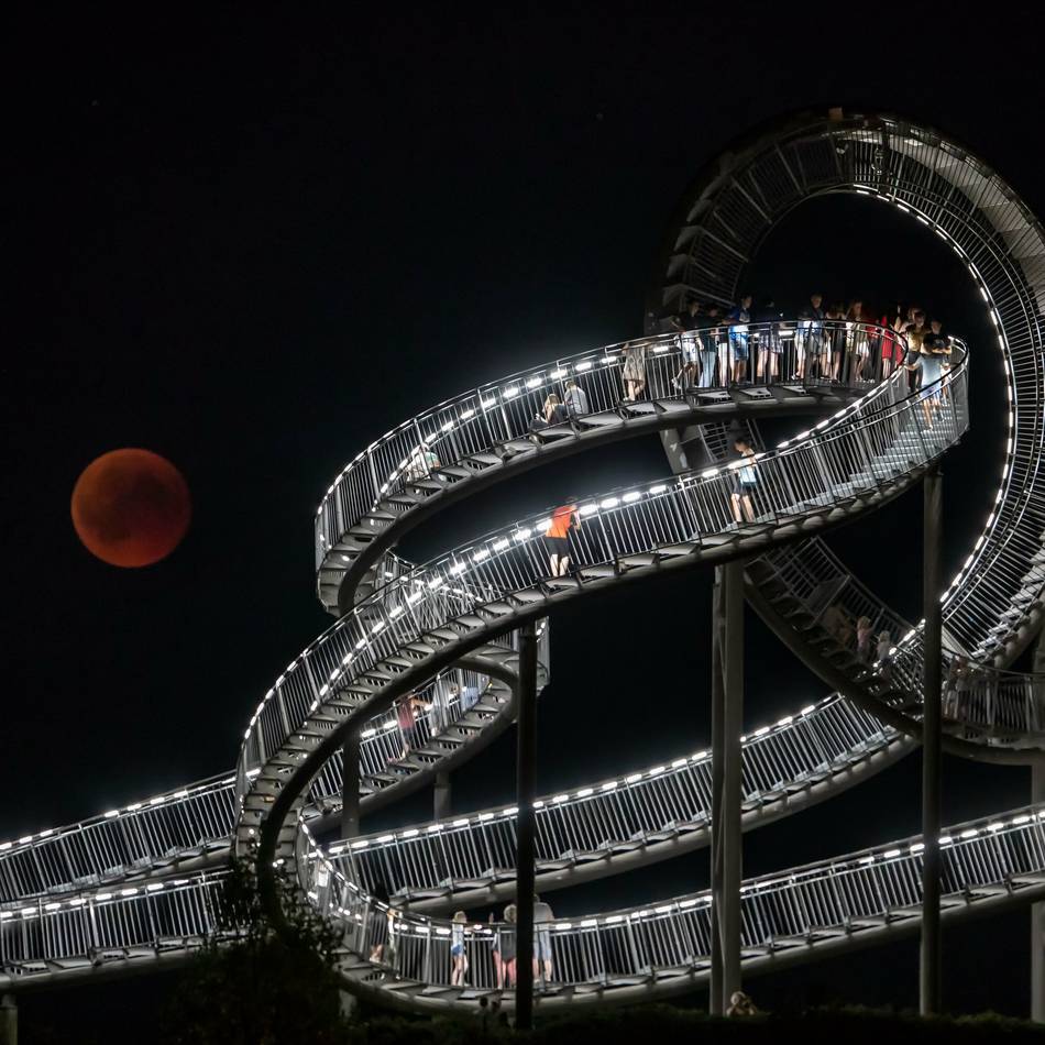 Tipps vom 13. bis 19. Oktober: KI oder Tiger & Turtle – das ist nächste Woche in Duisburg los