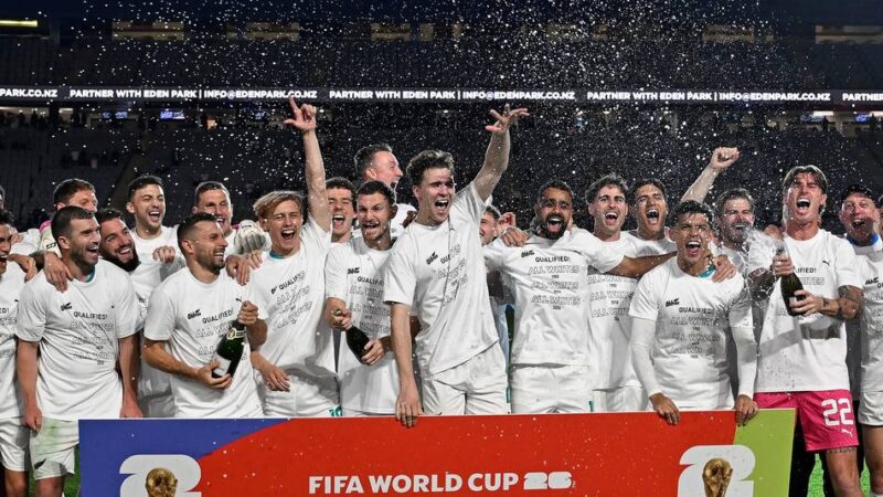 22 von 48 Tickets vergeben: So ist der Stand in der Qualifikation für die WM 2026