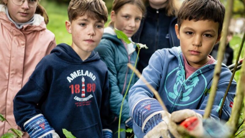 Ferienprogramm auf Haus Bürgel: Kinder erleben Natur und römische Geschichte hautnah