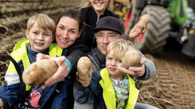 Kartoffeln und Mais gratis: Neuverser Hof in Monheim lädt zur Kartoffelernte ein