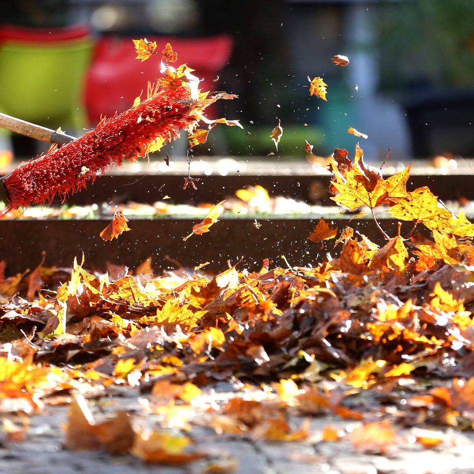 Rutsch- und Verletzungsgefahr: Wie Herbstlaub korrekt entsorgt wird – und wer bei Unfällen haftet