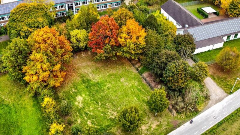 Konflikt um Hundeauslauf beigelegt : Ersatzfläche für Blühwiese wird mit Gehölzen aufgewertet