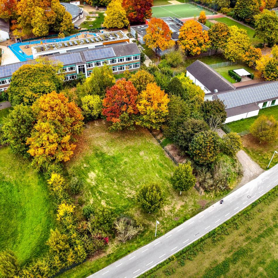 Konflikt um Hundeauslauf beigelegt : Ersatzfläche für Blühwiese wird mit Gehölzen aufgewertet