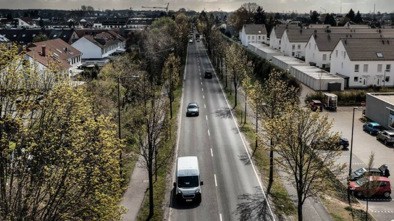 Straßenbäume in Langenfeld: Landesbetrieb pflanzt 120 neue Bäume