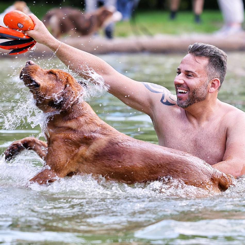 Was vom vierten Hundeschwimmen im Naturfreibad Mettmann übrig blieb: Große Spenden für das Tierheim Hilden und die DLRG Hunderettungsstaffel