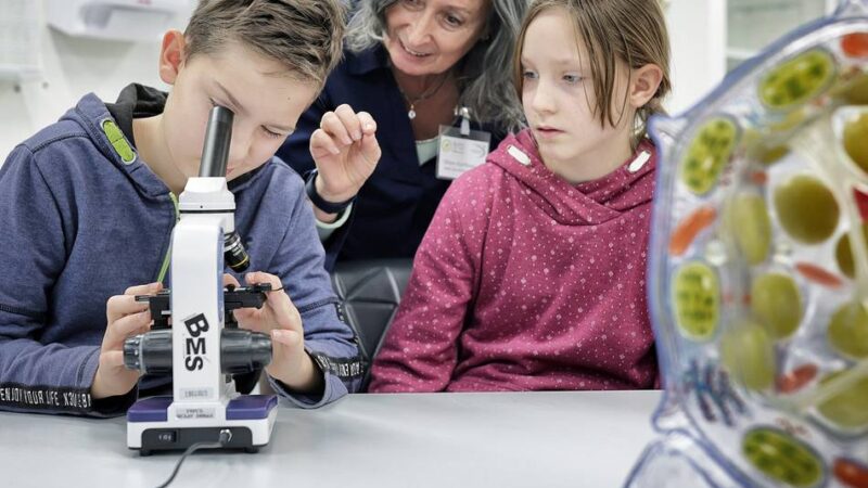 Kommunen freuen sich über Gelder aus NRW-Plan: 31,4 Millionen Euro für Infrastruktur in Hilden und Haan