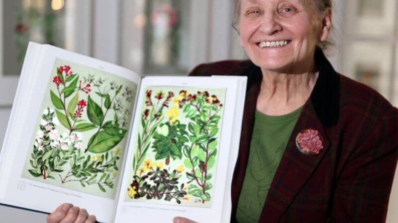 Kulturangebot in Hilden: Was es im Oktober zu erleben gibt