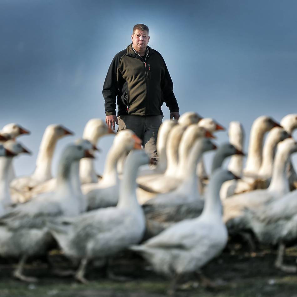 Anspannung auch in Mettmann: Vogelgrippe – die Nervosität steigt beim Gänsebauern von Gut Schobbenhaus