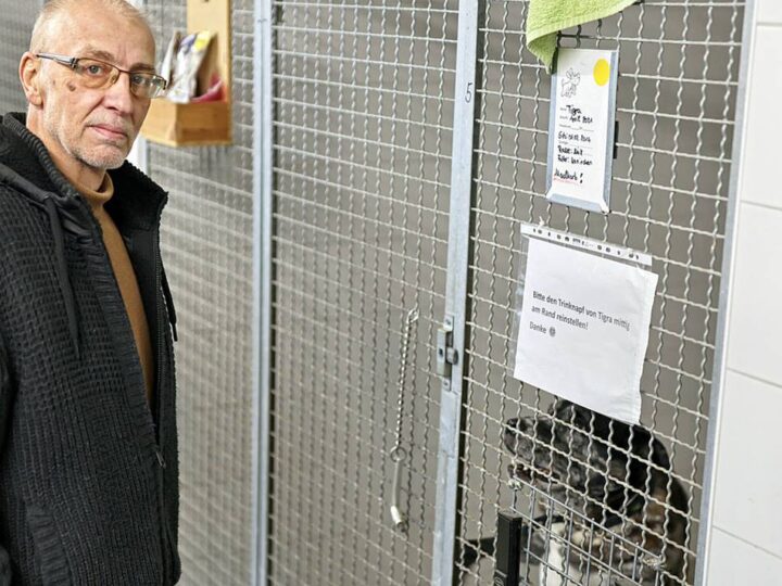 Dramatischer Appell aus dem Tierheim Hilden: „Ohne euch wird dieser Verein sterben“