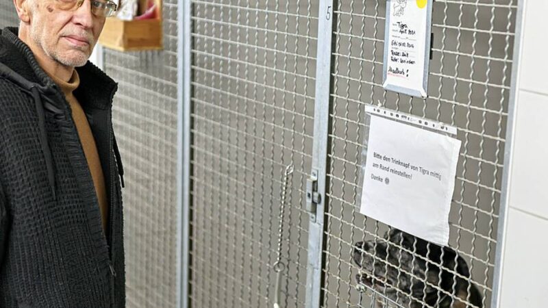 Dramatischer Appell aus dem Tierheim Hilden: „Ohne euch wird dieser Verein sterben“