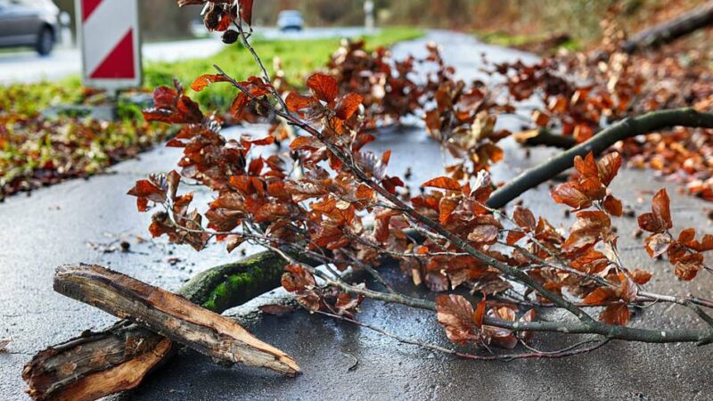 Feuerwehren in Erkrath, Wülfrath und Mettmann im Sturmeinsatz: Joshua bläst mehrere Bäume um