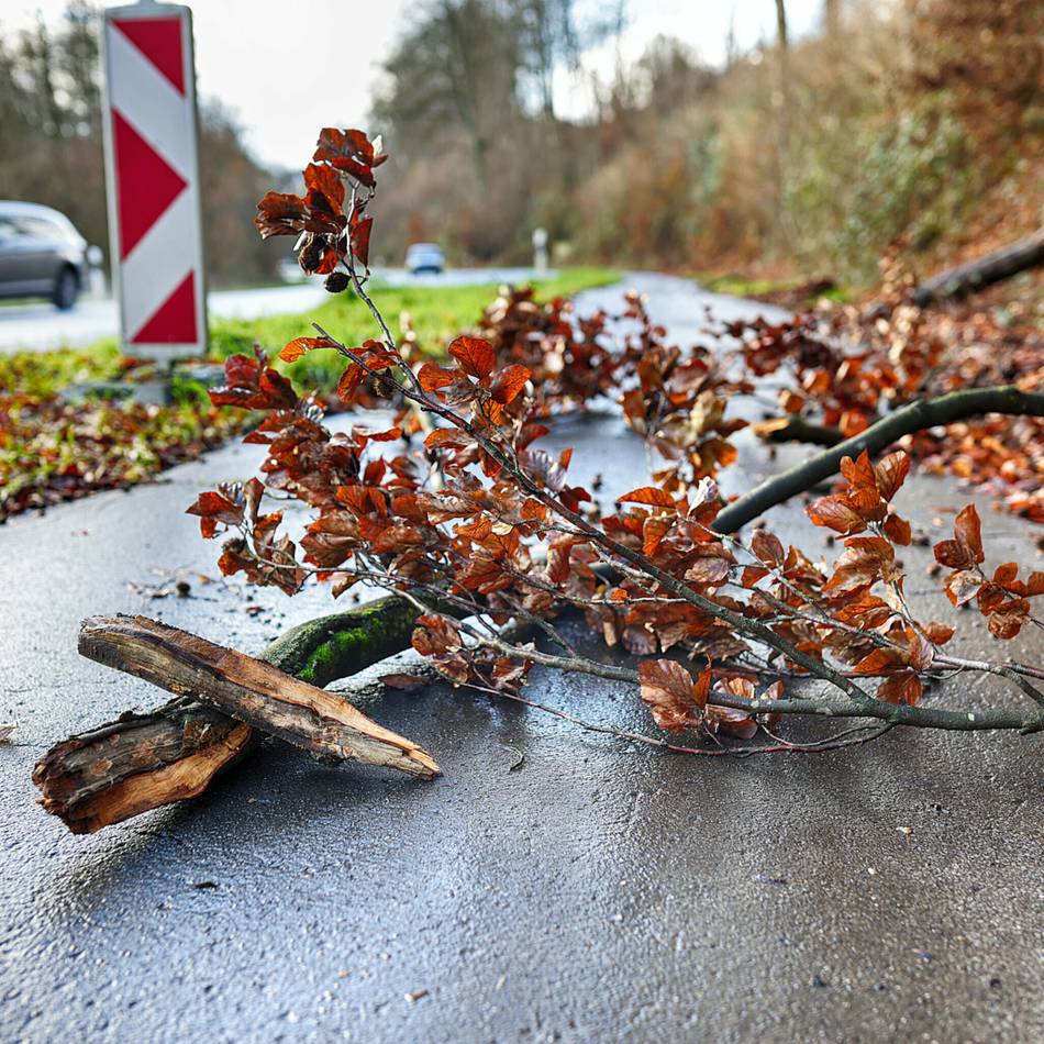Feuerwehren in Erkrath, Wülfrath und Mettmann im Sturmeinsatz: Joshua bläst mehrere Bäume um