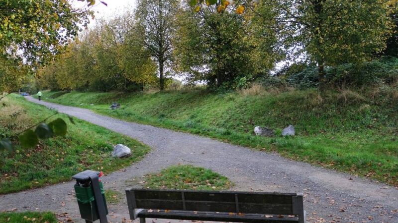 Diskussion um neues Wohngebiet Flehenberg in Wülfrath: Dachbegrünung als Hilfe gegen Überschwemmung?