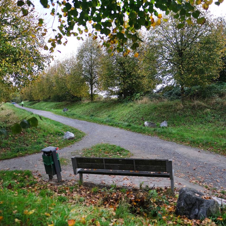 Diskussion um neues Wohngebiet Flehenberg in Wülfrath: Dachbegrünung als Hilfe gegen Überschwemmung?