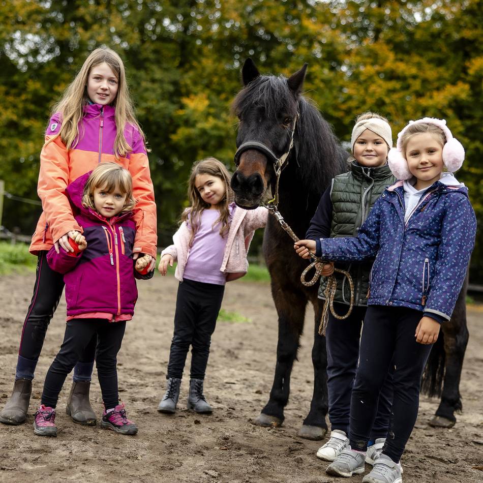 Herbstferien in Düsseldorf: Auf dem Kinderbauernhof gehts um das Miteinander