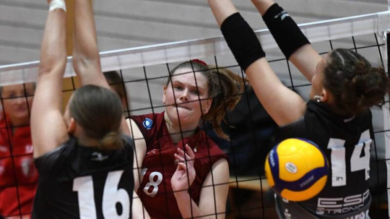 Volleyballerinnen in Hildesheim: Tusa vor dem Härtetest: „Jetzt zeigt sich, wo wir stehen“