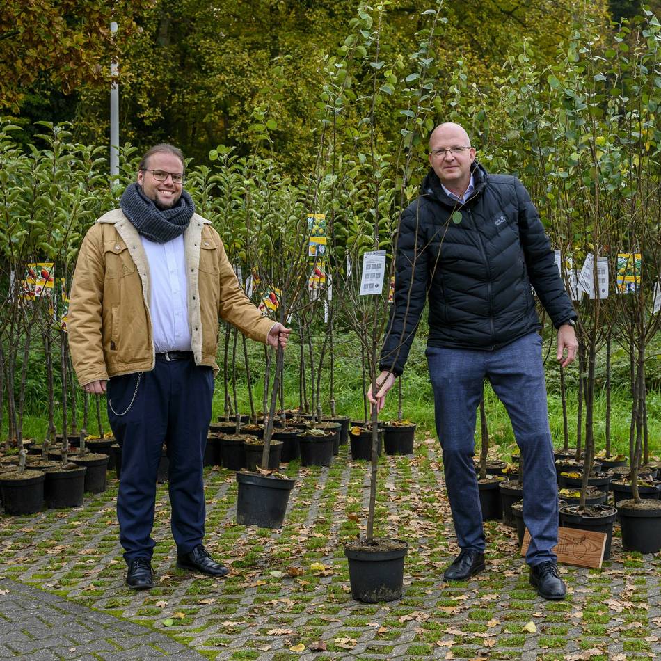 Klimaschutz in Meerbusch: 1000 Klimabäume ab Montag zu verschenken