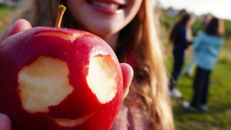 Lintorfer Gymnasium im Zeichen der Gesundheit: Wenn Apfelernte auf dem Stundenplan steht