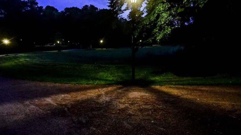 21-Jähriger lebensgefährlich verletzt: Streit am Hofgarten in Düsseldorf endete beinahe tödlich