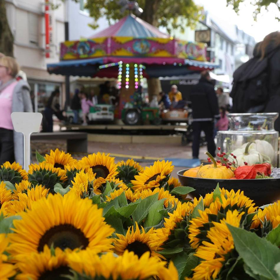 Opladener Herbstmarkt: Bummel mit Pflanzen, Deko und Trödel