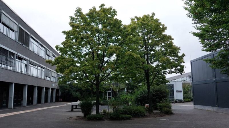 Bildung in Meerbusch: Gesamtschule für Medienscout-Projekt ausgezeichnet