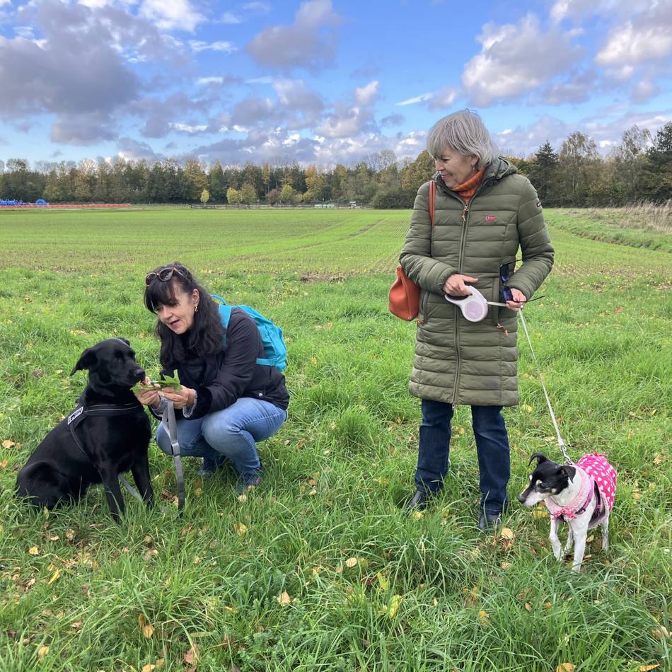 Wildkräuterwanderung in Meerbusch: Auch gegen Hundeleiden ist ein Kraut gewachsen