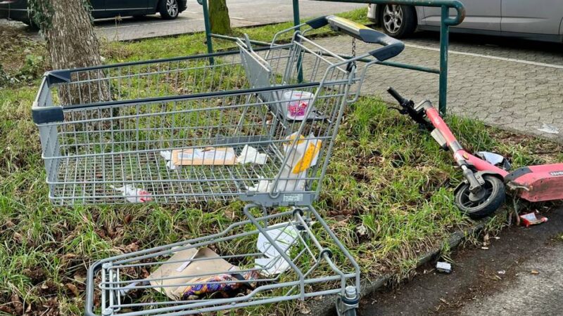 Sauberkeit in Düsseldorf: Eller organisiert eigenen Dreck-weg-Tag