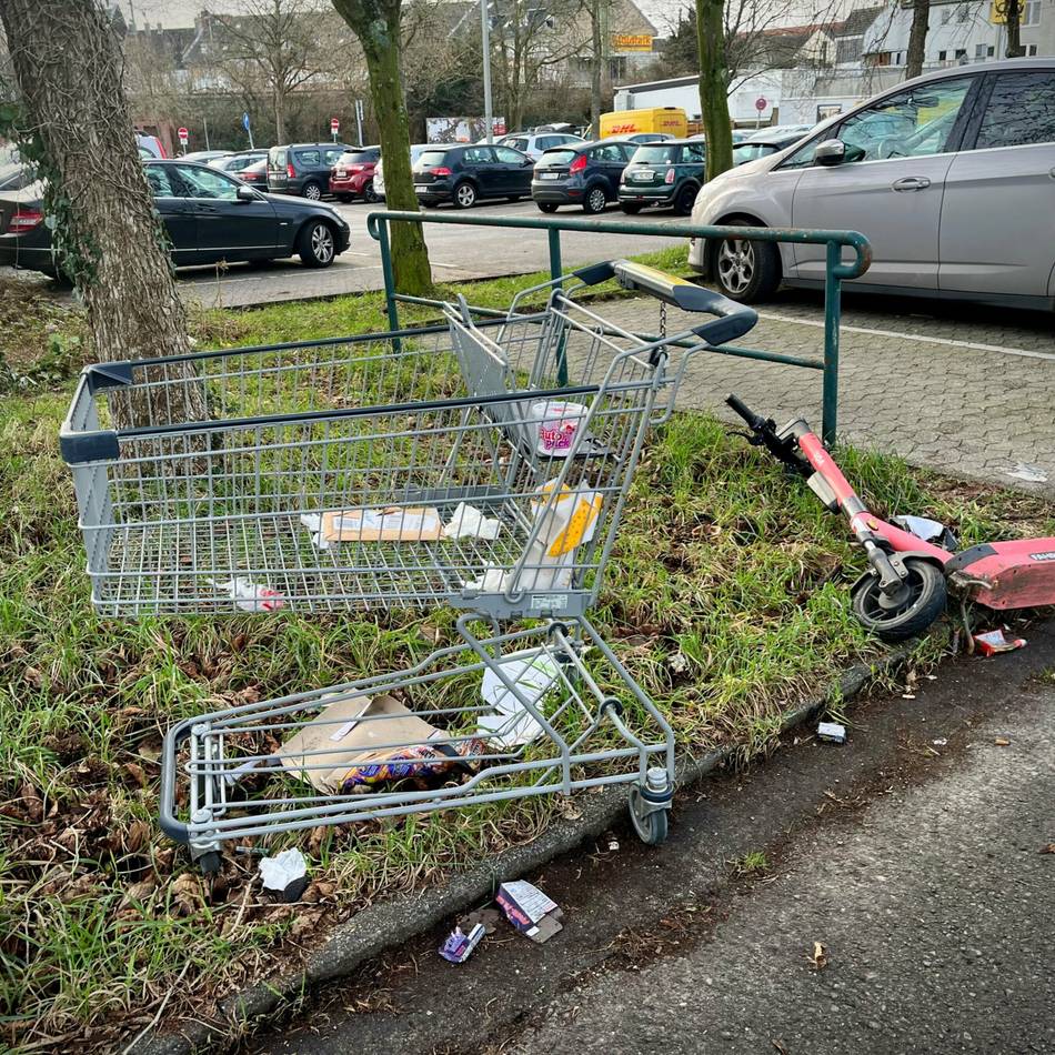 Sauberkeit in Düsseldorf: Eller organisiert eigenen Dreck-weg-Tag