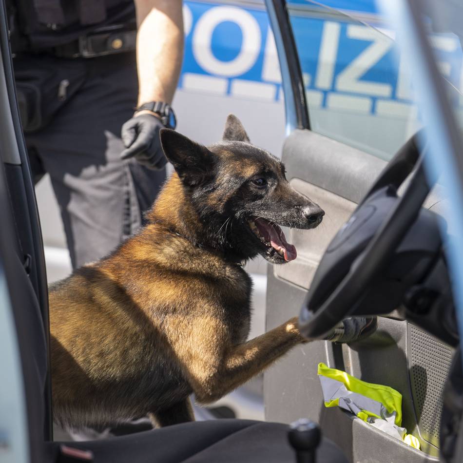 Einsatz in Hilden: Polizei sucht mit Spürhund nach Einbrechern