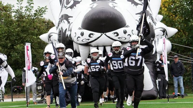 Warum es erneut nicht zum Aufstieg reichte: Mönchengladbach Wolfpack beschließt Saison als Vizemeister