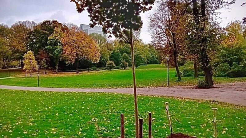 Gedenken in Düsseldorf : Erinnerung an den Tod von Sigi Strukmeier