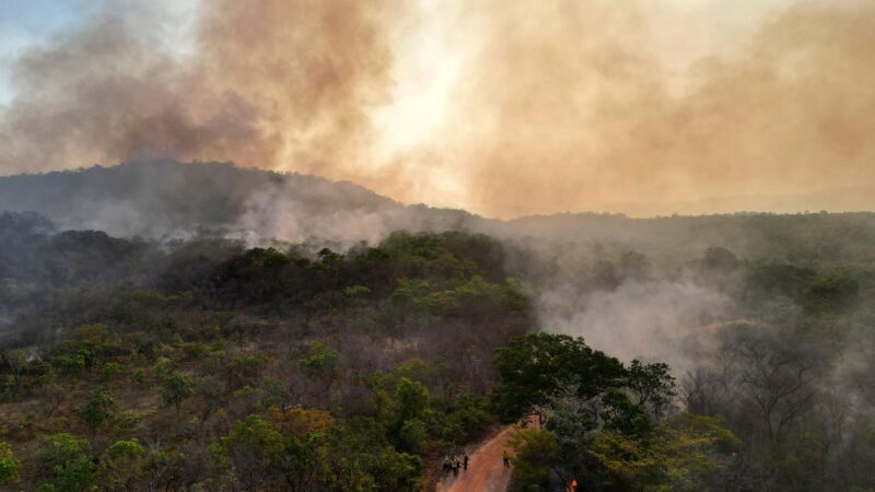 WMO: CO2-Konzentration in der Atmosphäre 2024 so stark gestiegen wie nie