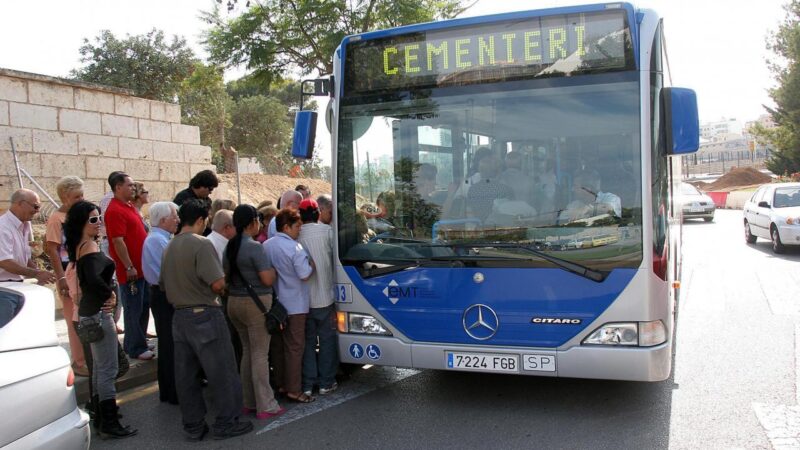 Blumenmeer und Sonderbusse auf Mallorca: Was es mit dem 1. November auf sich hat