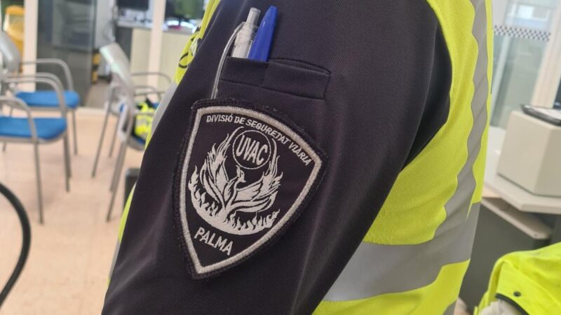 Kurioser Wildunfall am Mallorca-Flughafen: Vietnamesisches Schwein läuft vor Auto und stirbt