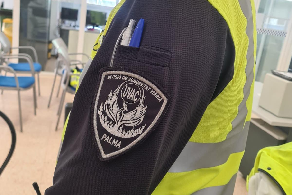 Kurioser Wildunfall am Mallorca-Flughafen: Vietnamesisches Schwein läuft vor Auto und stirbt