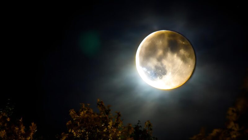 Spektakel am Nachthimmel über Mallorca – diese Woche lohnt sich der Blick nach oben