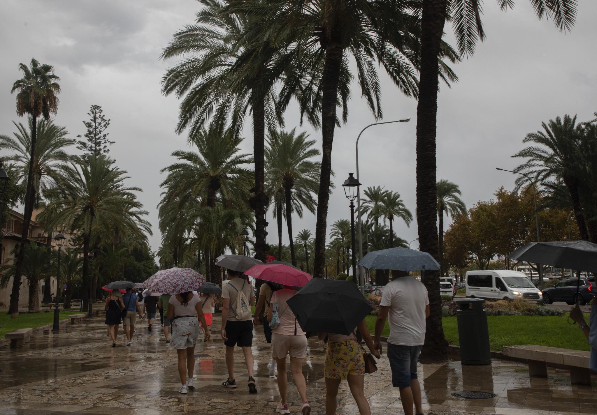 Intensive Regenfälle und spürbarer Temperatursturz: Neue Regenfront kommt auf Mallorca zu