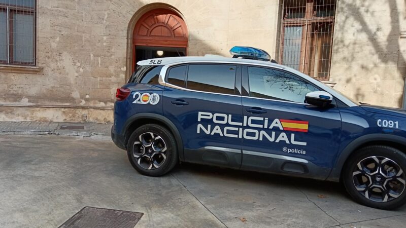 Zehn Millionen Euro mit Immobilien ergaunert: Deutscher Betrüger auf Mallorca verhaftet