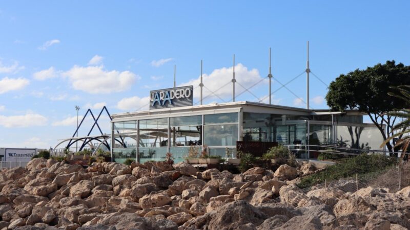 Mit Meerblick am Hafen speisen: Neue Ausschreibung für diese beiden Palma-Cafés