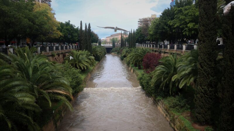 Es regnete gerade heftig: Mann bricht plötzlich auf Straße in Palma zusammen und stirbt